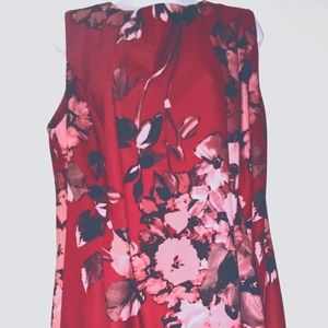 Taylor Woman Lined Red Floral Plus Size 20 Dress